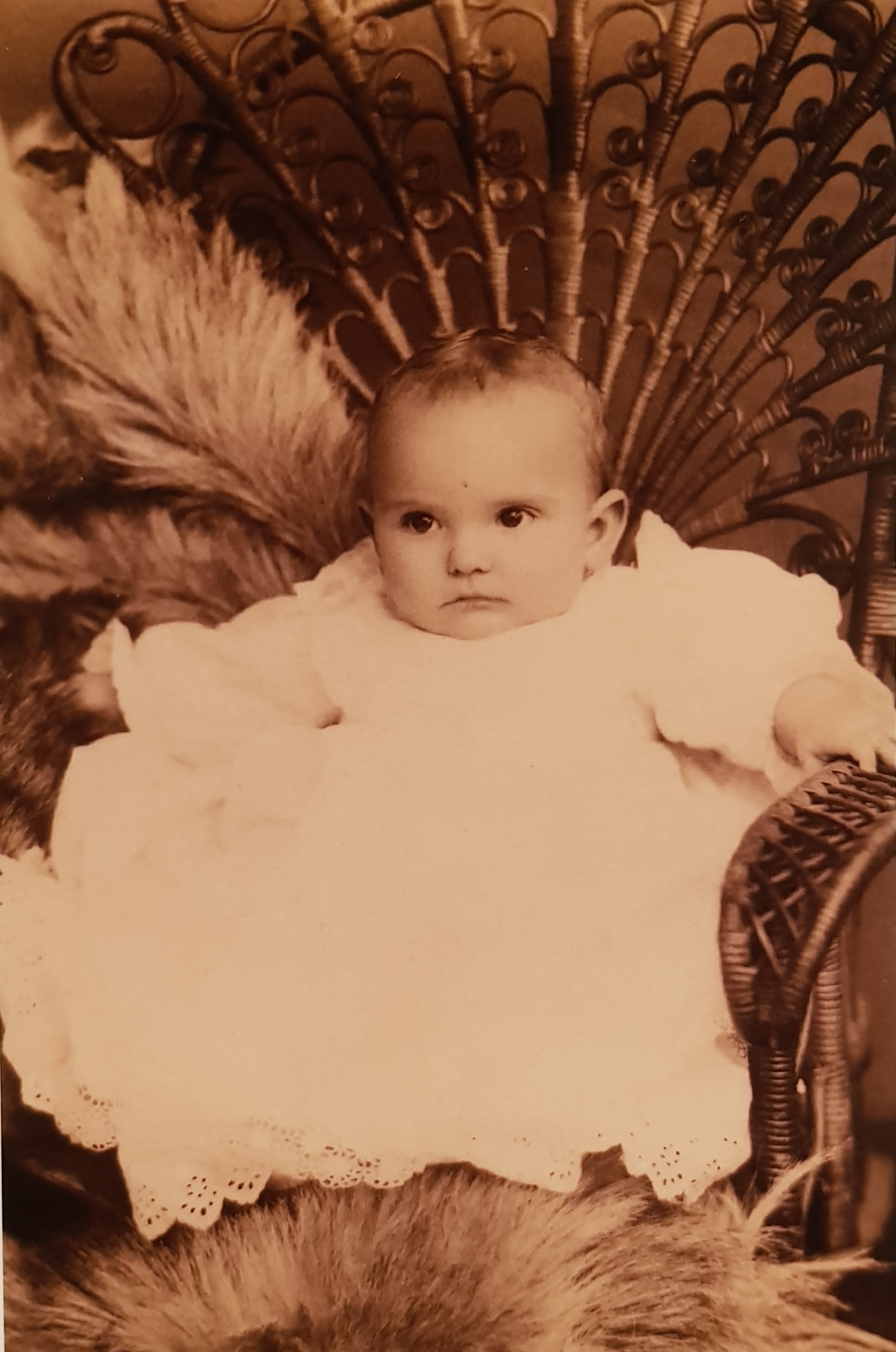 Anita Thomas Bishop Reed Anita Thomas Bishop Reed